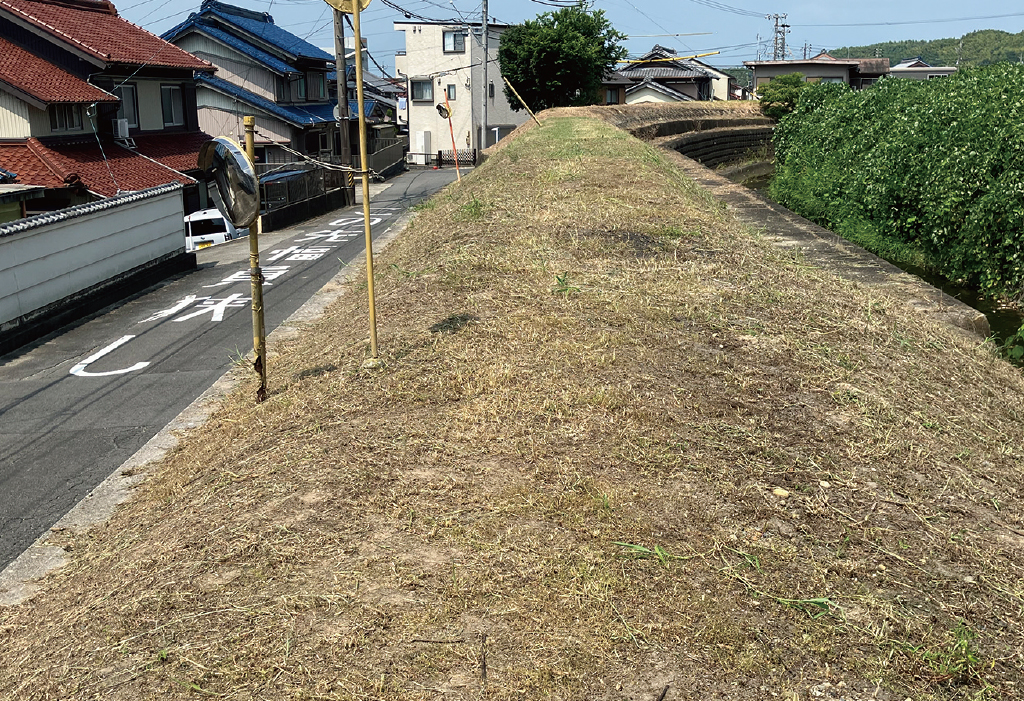 堤防敷きの除草